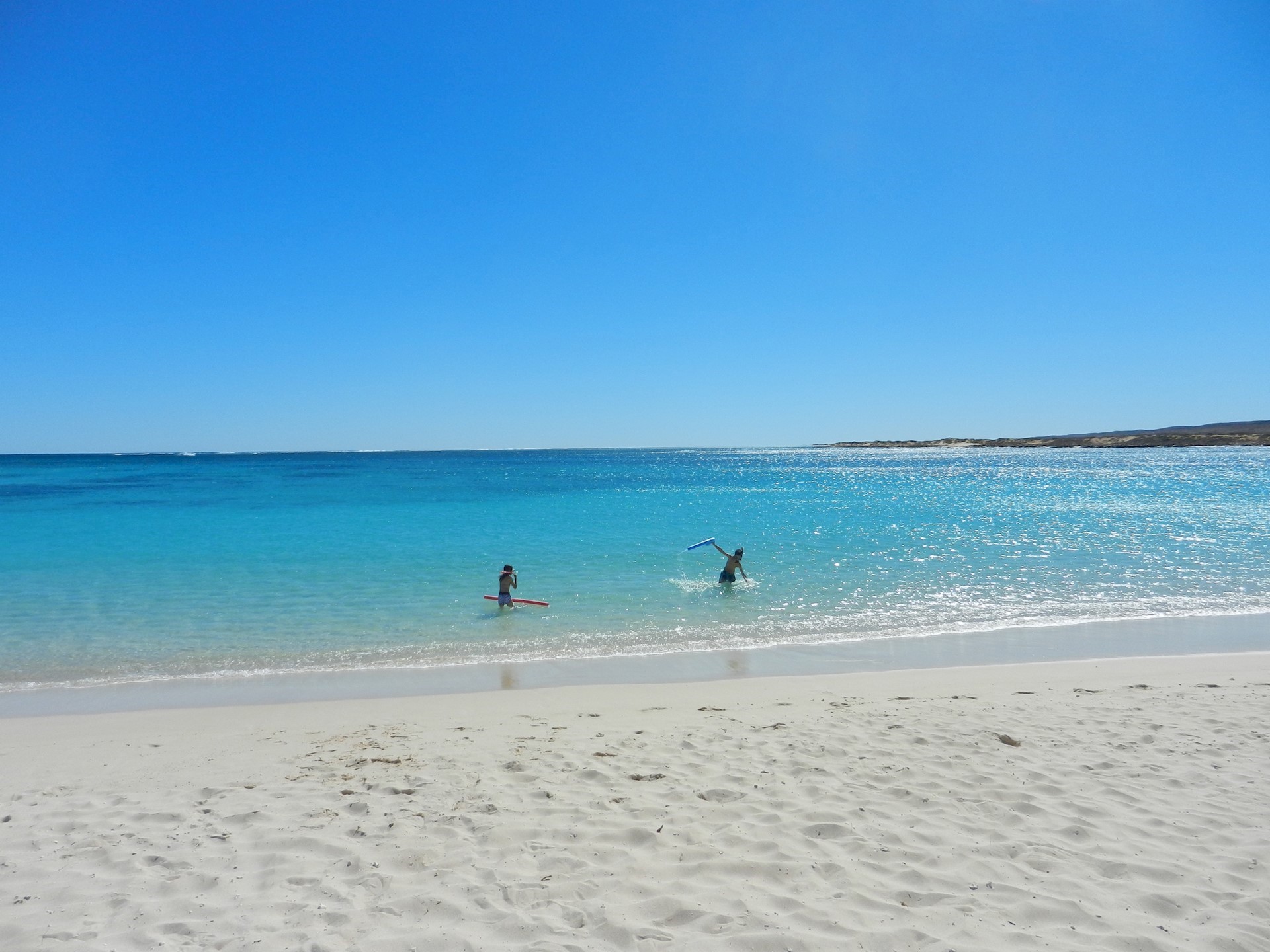 Rondreis door Australie met kinderen